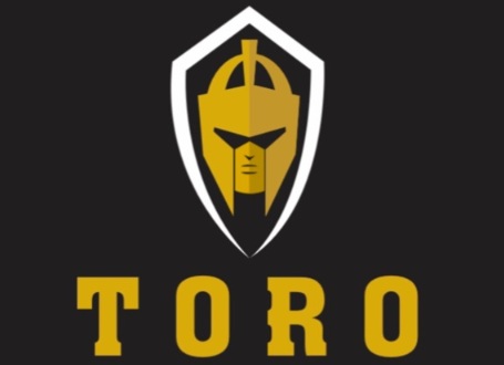 Toro Segurança